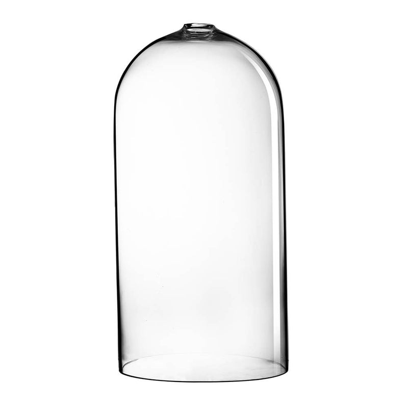 D8x16" Crystal Elegance Glass Dome