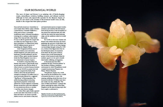 Botanical Bible