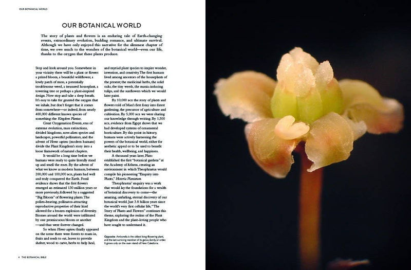 Botanical Bible