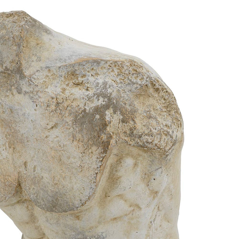 14x14x23" Belvedere Torso Statue