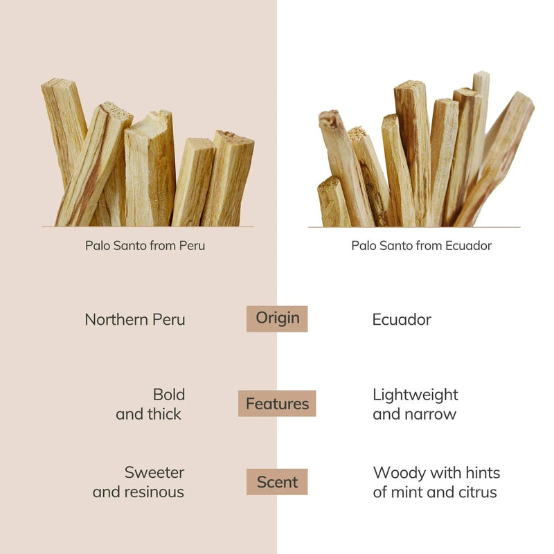 Ecuadorian Palo Santo Sticks (10 Pieces)