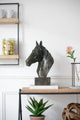 13x6x16" Bronze Polyresin Horse Head Bust