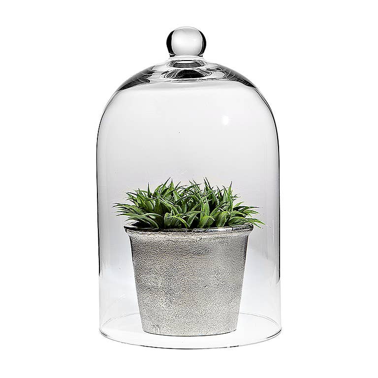 Sm Classic Shaped Cloche-10" H