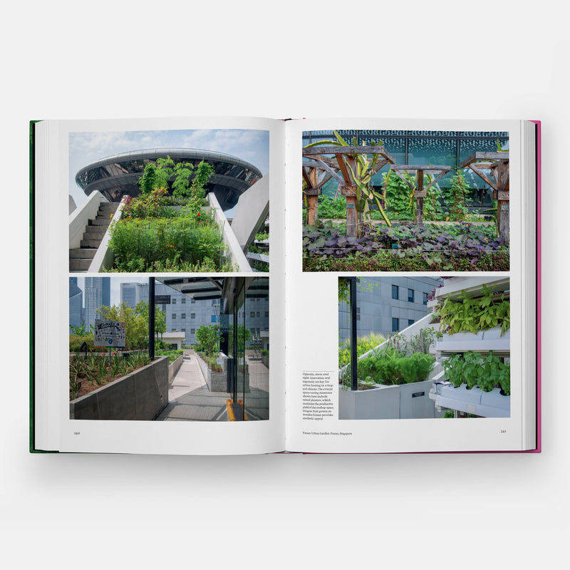The Kitchen Garden