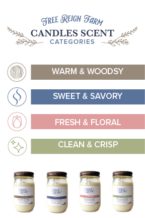Shelf Talker Display Card Set