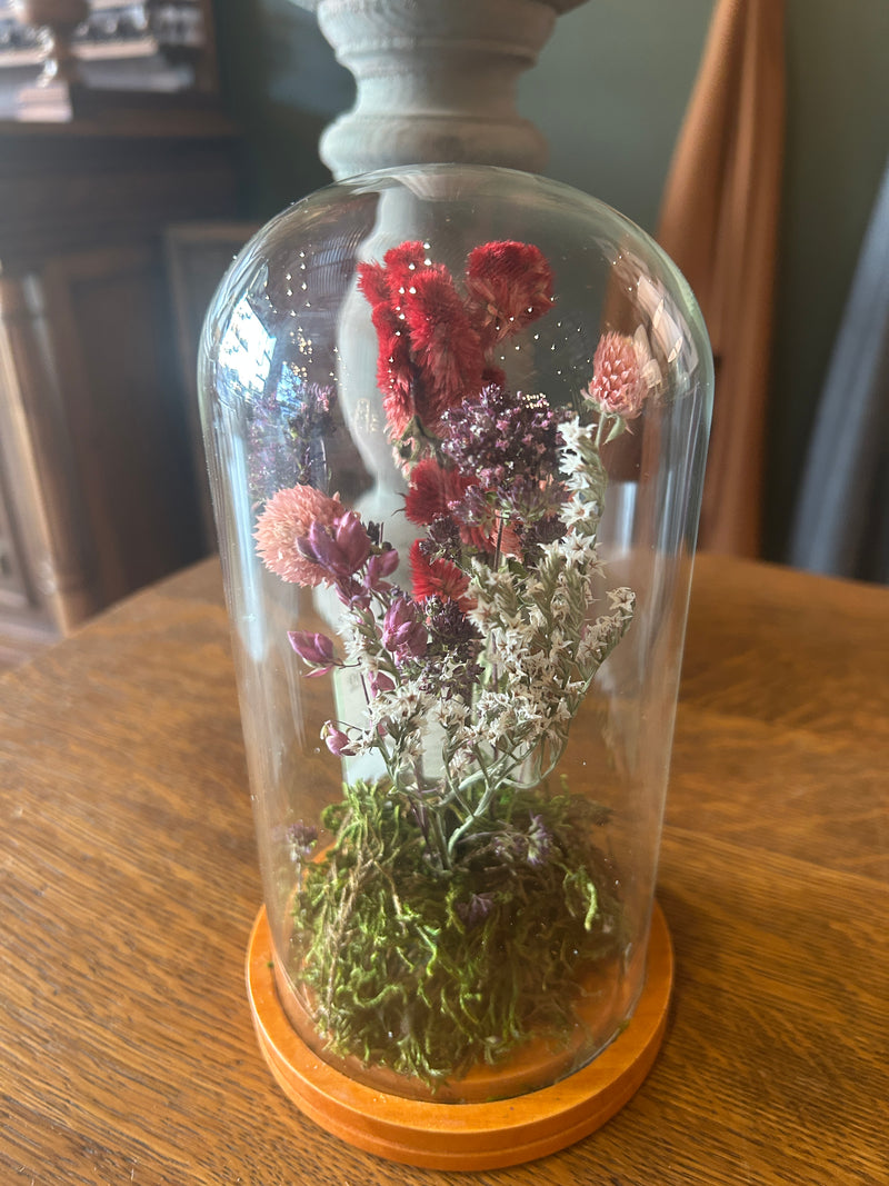Small Cloche w/ Dried Flowers