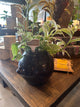 Brown Vintage Pot handles