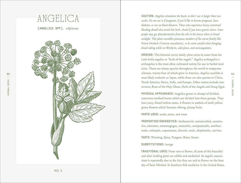 Complete Folk Herbal by Rebecca Beyer