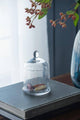 D4x6" Kingston Lidded Cake Plate, Small - Clear